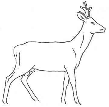 Ilustracja C