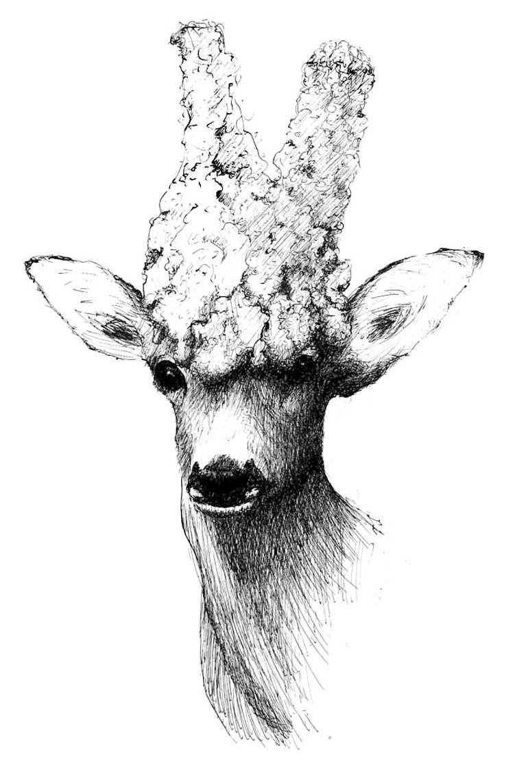 Ilustracja do pytania