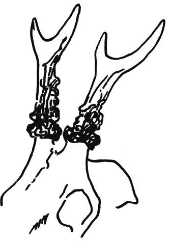 Ilustracja do pytania