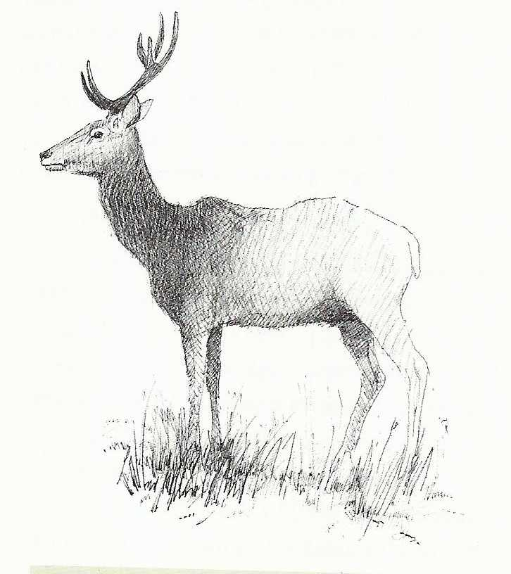 Ilustracja do pytania