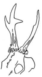 Ilustracja do pytania