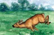 Ilustracja do pytania