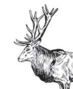 Ilustracja A